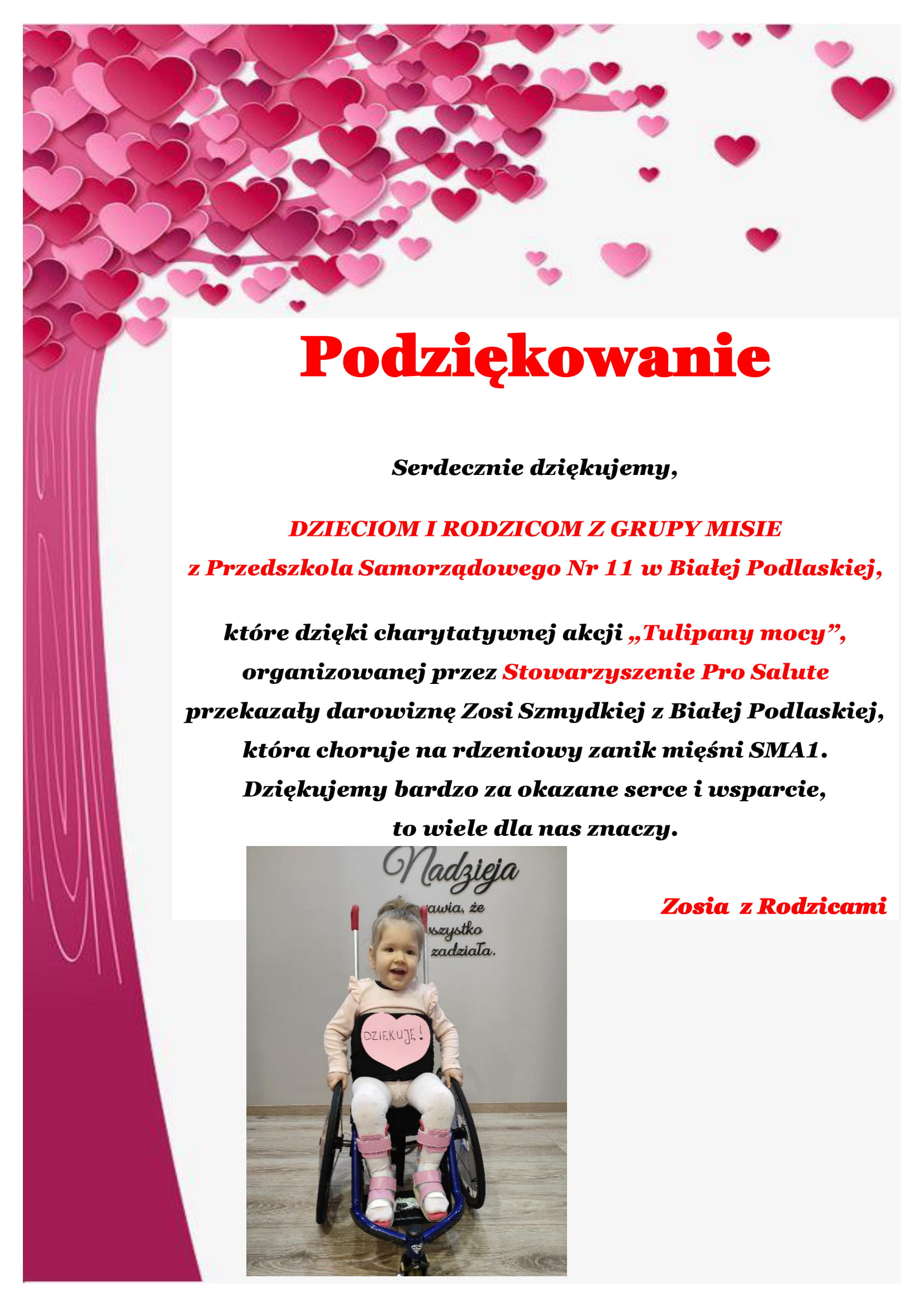 Podziękowanie za akcję charytatywną "Tulipany Mocy" Podziękowanie za akcję charytatywną "Tulipany Mocy"